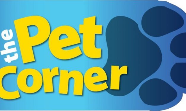 Review: The Pet Corner Worcester