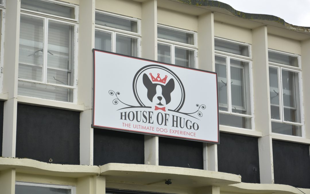 Backstage At The House Of Hugo – The Original Dog Hotel