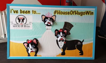 Happy 6th Anniversary to the House of Hugo – The Original Dog Hotel and Spa