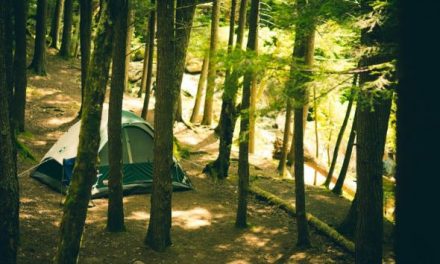 Cosy Camping 101: Come Prepared