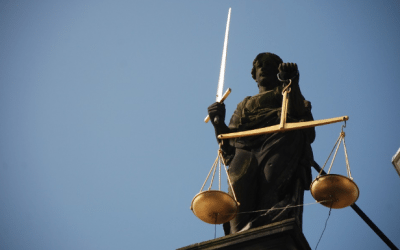 Legal Dispute: When Products Are Too Similar