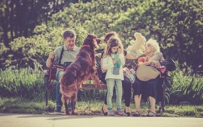 3 Reasons Why a Dog Can Brighten Any Household