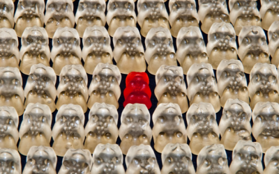 Helping Your Website to Stand Out From the Crowd