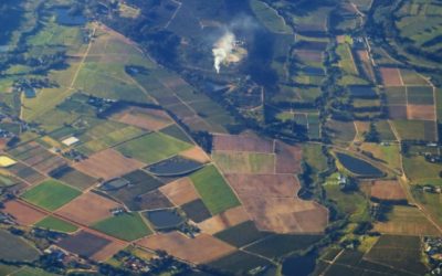 What Business Can You Start With A Land Investment?
