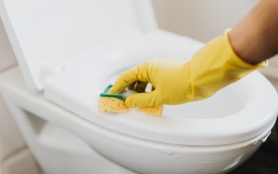 Infographic Sponsored Content: Ways To Unclog a Toilet Without a Plunger