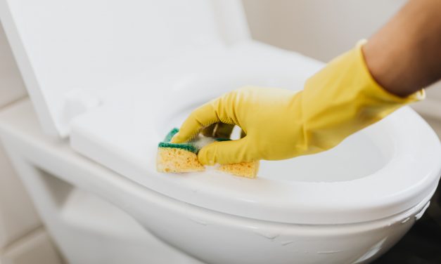 Infographic Sponsored Content: Ways To Unclog a Toilet Without a Plunger