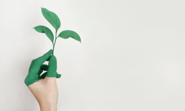 Green And Healthy Things To Do For Your Business This Year