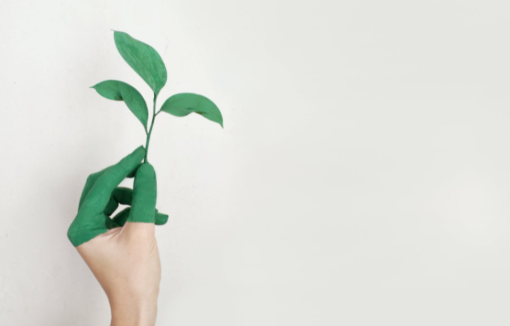 Green And Healthy Things To Do For Your Business This Year