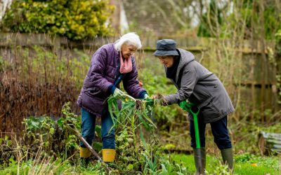 The Challenges of Running a Senior Home: What It’s Like to Care for the Elderly