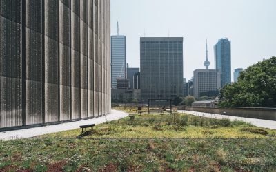 Making Your Office More Sustainable