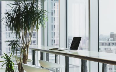 5 Corners You Should Never Cut With Your Business