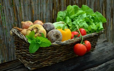 Sustainable Food Choices for Your Health and the Environment