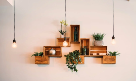 How You Can Make Your Home Decor More Sustainable