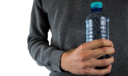 Sip, Snack, and Shuttle: A Guide to Big Water Bottles, Fruit Pots, and Aylesbury Minibus Hire