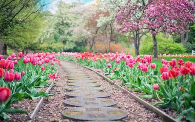 Prepare for Spring with These 5 Garden Jobs: Your Essential Outdoor Tasks
