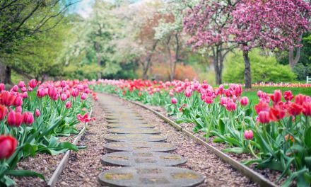 Prepare for Spring with These 5 Garden Jobs: Your Essential Outdoor Tasks