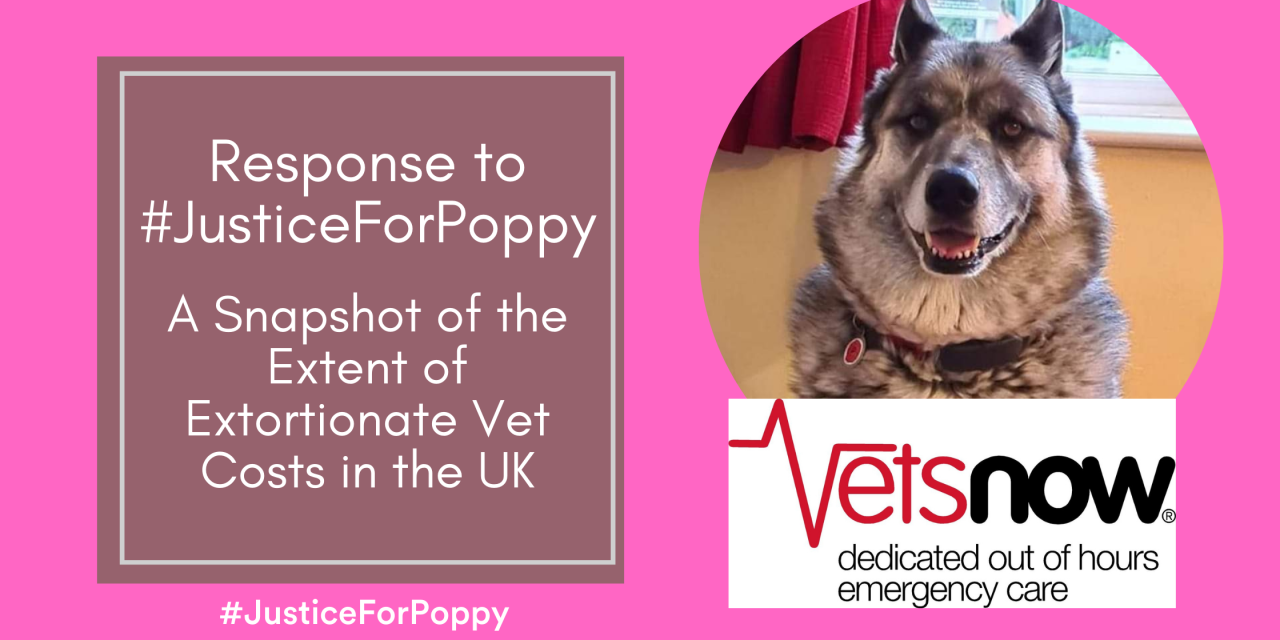 Response to #JusticeForPoppy: A Snapshot of the Extent of Extortionate Vet Costs in the UK