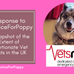 Response to #JusticeForPoppy: A Snapshot of the Extent of Extortionate Vet Costs in the UK