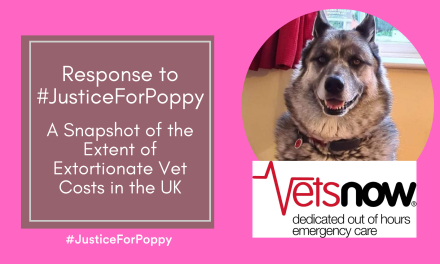 Response to #JusticeForPoppy: A Snapshot of the Extent of Extortionate Vet Costs in the UK