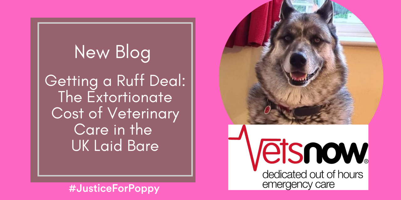 Getting a Ruff Deal: The Extortionate Cost of Veterinary Care in the UK Laid Bare