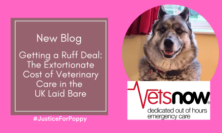 Getting a Ruff Deal: The Extortionate Cost of Veterinary Care in the UK Laid Bare