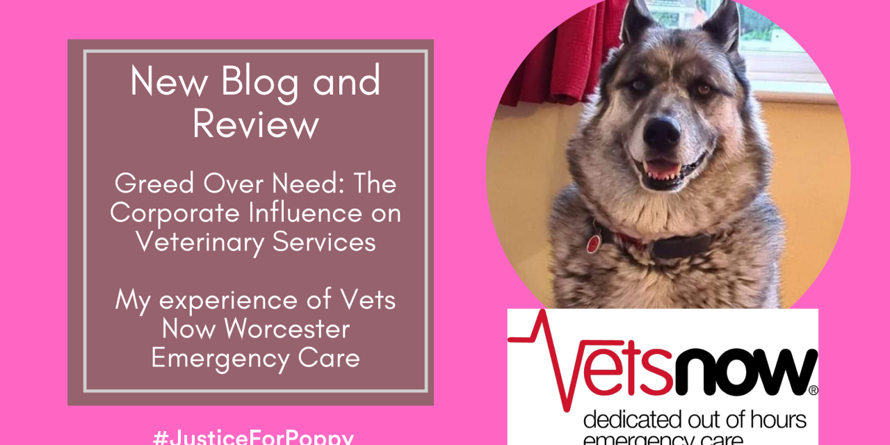 New Blog and Review: Greed Over Need – The Corporate Influence on Veterinary Services