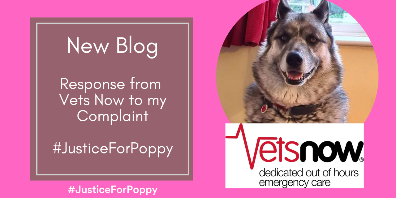 Response From Vets Now to my Complaint – #JusticeForPoppy