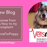 Response From Vets Now to my Complaint – #JusticeForPoppy