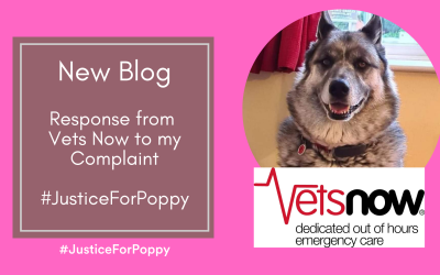 Response From Vets Now to my Complaint – #JusticeForPoppy