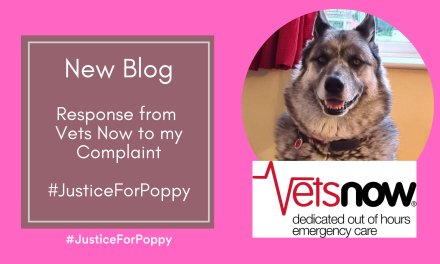 Response From Vets Now to my Complaint – #JusticeForPoppy