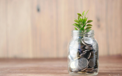 5 Ways to Grow Your Business Wealth and Secure It’s Future