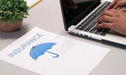 Profit with Care: The Art of Precautionary Measures in Business