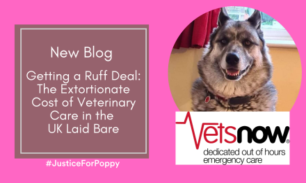 Getting A Ruff Deal: The Extortionate Cost of Veterinary Care in the UK Laid Bare