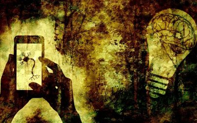 I’m Neurodivergent – Now What?