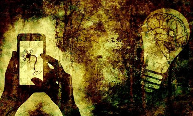 I’m Neurodivergent – Now What?