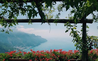 Shaping Outdoor Elegance: The Rise of Commercial Pergolas in Modern Business Spaces