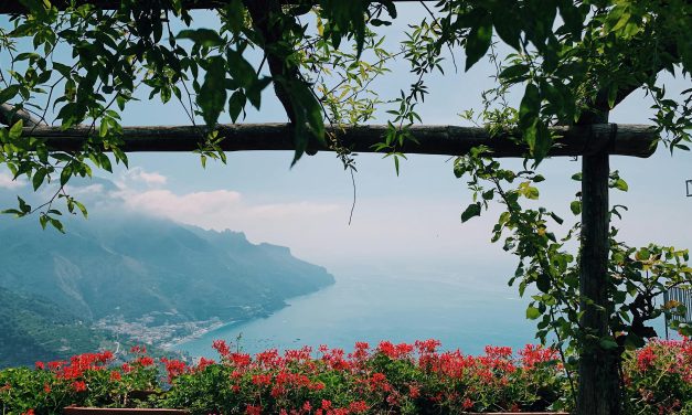 Shaping Outdoor Elegance: The Rise of Commercial Pergolas in Modern Business Spaces