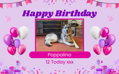 Happy 12th Birthday to my Beautiful Poppalina