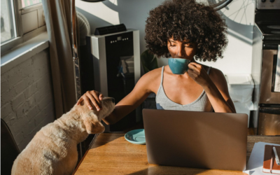 Working Self-employed? Here Are Three Tools And Services That Can Boost Your Efficiency