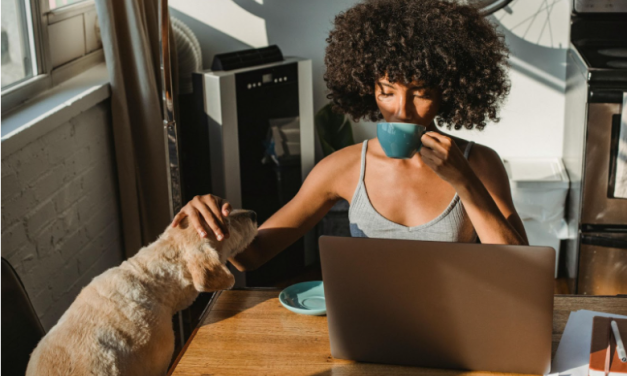 Working Self-employed? Here Are Three Tools And Services That Can Boost Your Efficiency