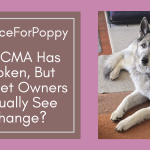 #JusticeForPoppy: The CMA Has Spoken, But Will Pet Owners Actually See Change?
