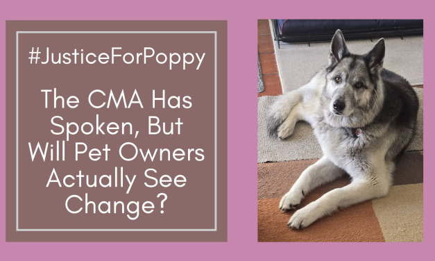 #JusticeForPoppy: The CMA Has Spoken, But Will Pet Owners Actually See Change?