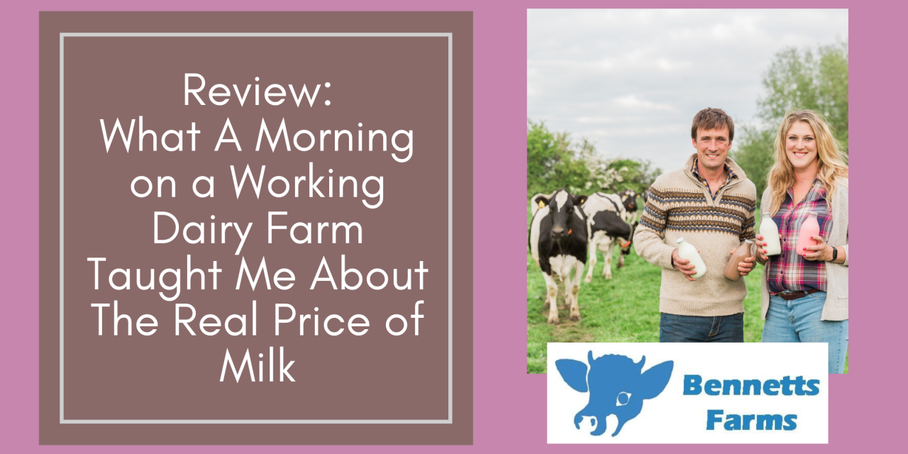 Review: What A Morning on a Working Dairy Farm Taught Me About The Real Price of Milk