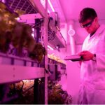 How Biotechnology Aids Food Production Resilience