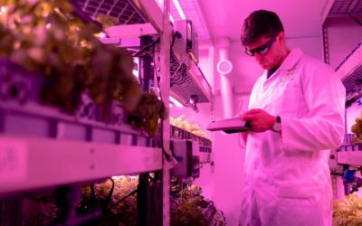 How Biotechnology Aids Food Production Resilience