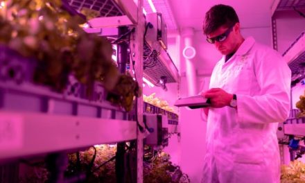 How Biotechnology Aids Food Production Resilience