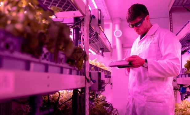 How Biotechnology Aids Food Production Resilience