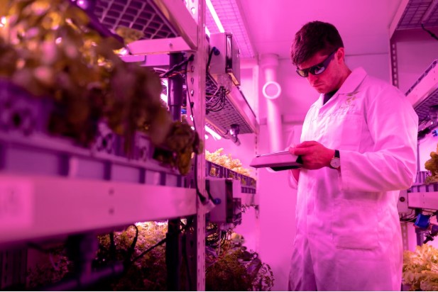 How Biotechnology Aids Food Production Resilience